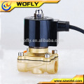 Water fountain system applied fast acting solenoid valve